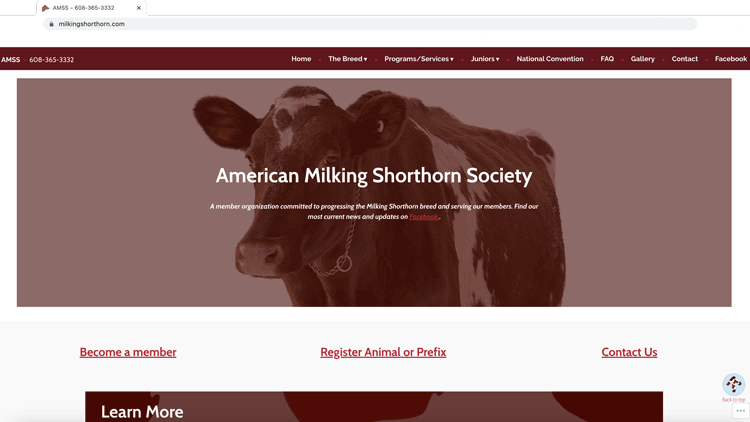 Client Website