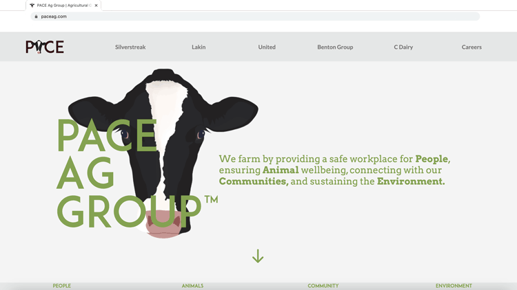 Client Website